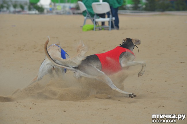 ���� 3: ��������� �� �������� ������-2017