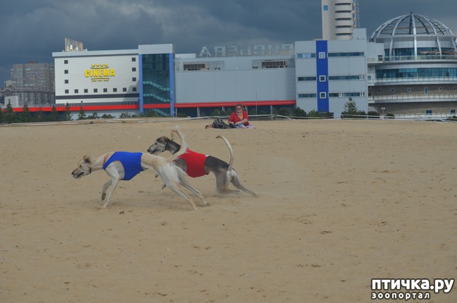 ���� 2: ��������� �� �������� ������-2017