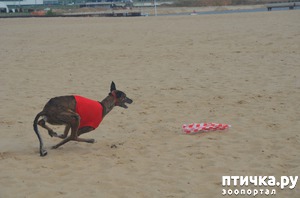 ����: ��������� �� �������� ������-2017