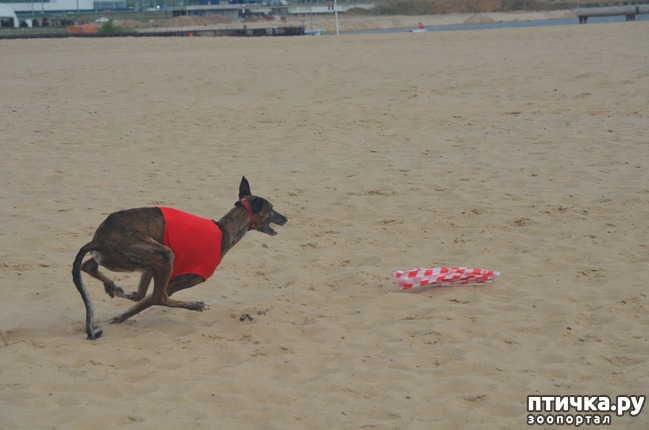 ���� 1: ��������� �� �������� ������-2017