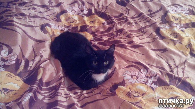 ���� 2: ��������� ������