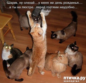 ����: ����������� ���������������!