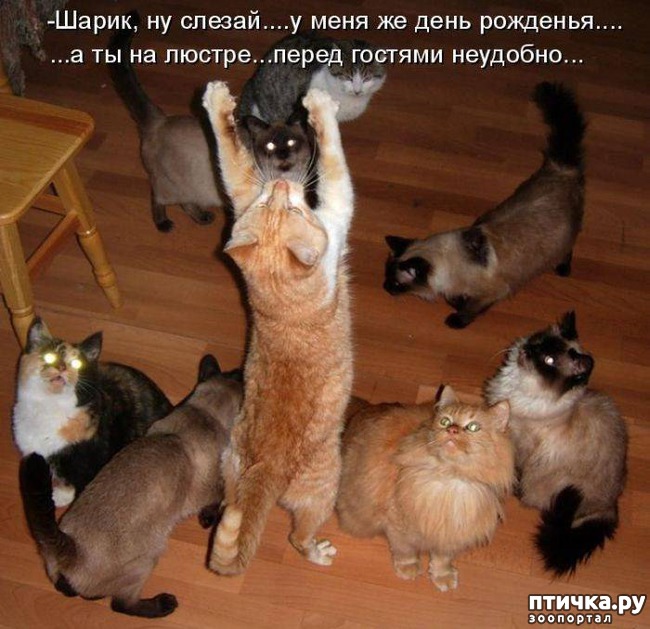 ���� 1: ����������� ���������������!