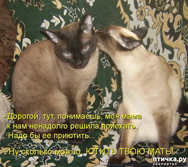 ���� 2: ����������� ���������������!