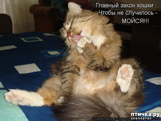 ���� 3: ����������� ���������������!