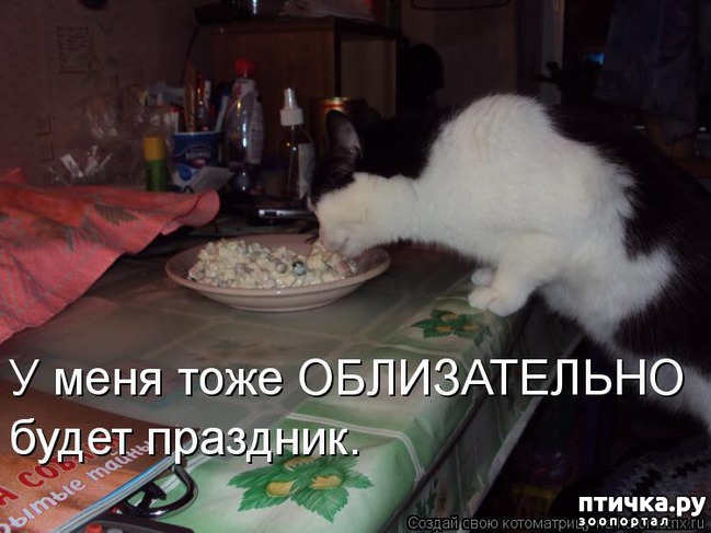 ���� 4: ����������� ���������������!