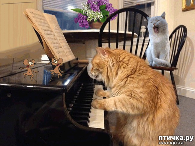 ���� 5: ����������� ���������������!