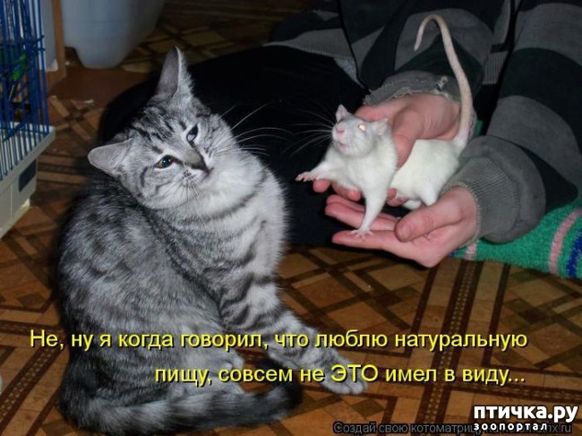 ���� 6: ����������� ���������������!