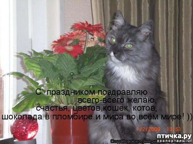 ���� 7: ����������� ���������������!