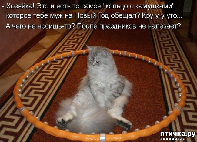 ���� 8: ����������� ���������������!