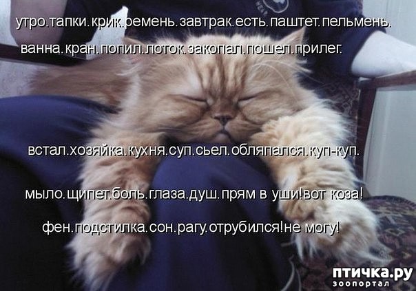 ���� 9: ����������� ���������������!