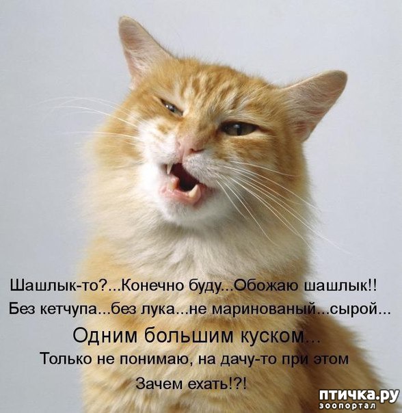 ���� 10: ����������� ���������������!