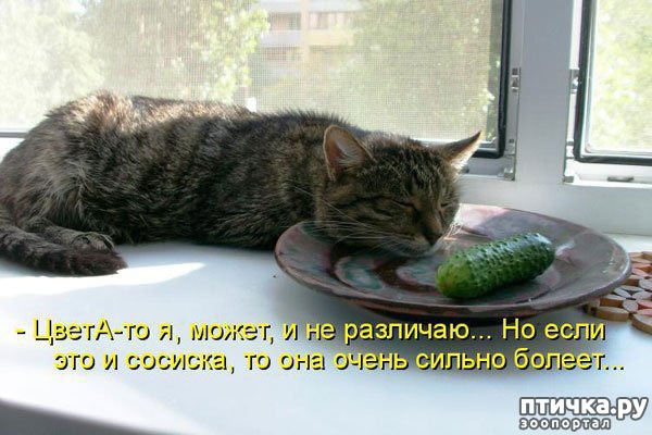 ���� 11: ����������� ���������������!