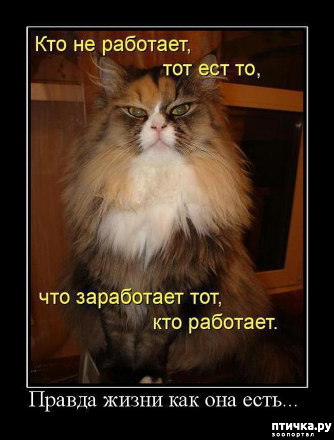 Прикольные картинки заработалась