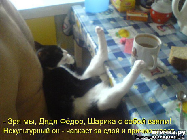 ���� 13: ����������� ���������������!