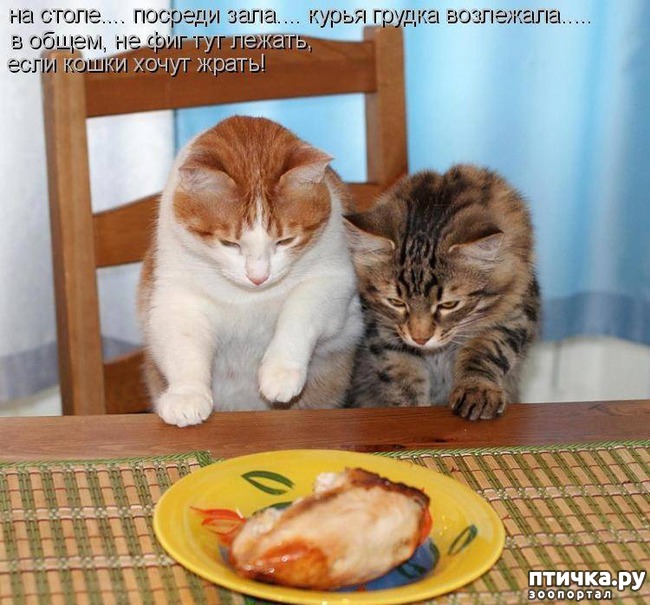 ���� 14: ����������� ���������������!