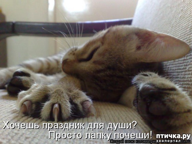 ���� 16: ����������� ���������������!