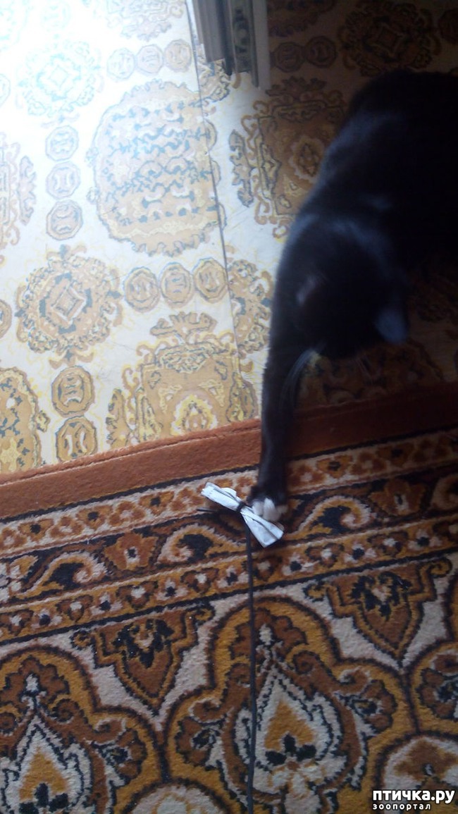 ���� 3: ��������� ������