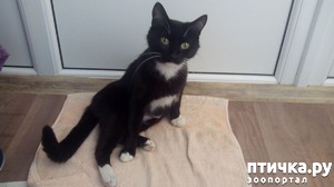 ����: ��������� ������