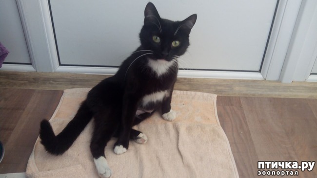 ���� 1: ��������� ������