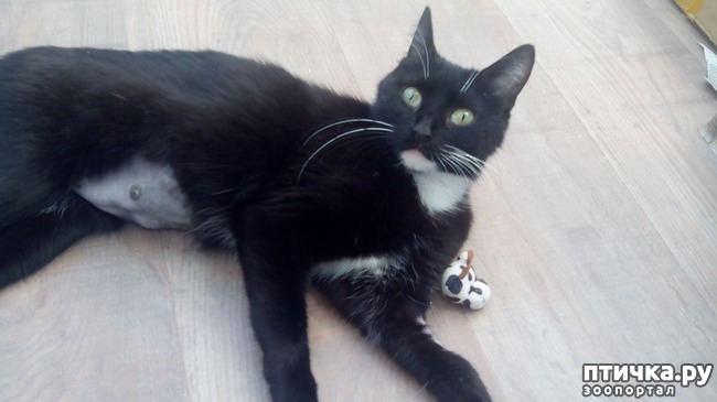 ���� 4: ��������� ������