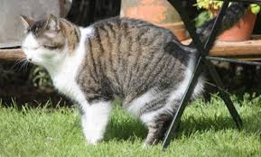 ����: ������ � ������� "������� ����� ����".