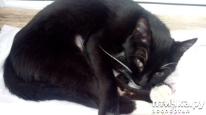 ����: � ������� ����� ��������