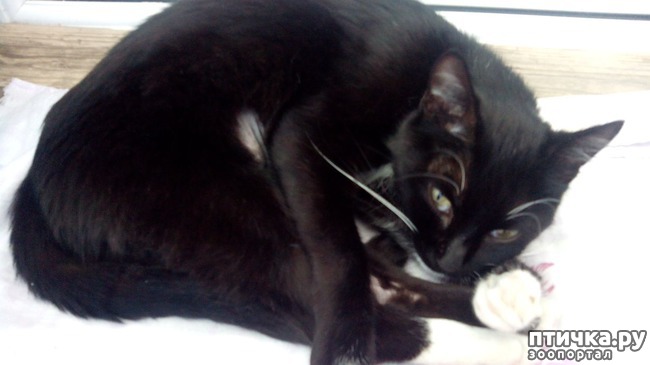 ���� 1: � ������� ����� ��������