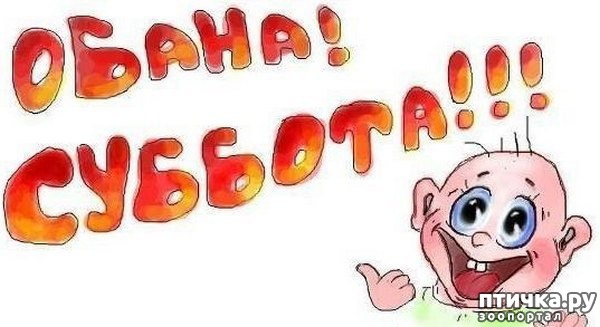 ���� 1: �����, ����� ��������. ������ ����������.