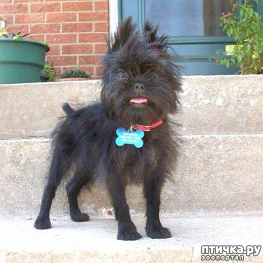 ���� 2: �����, ����� ��������. ������ ����������.