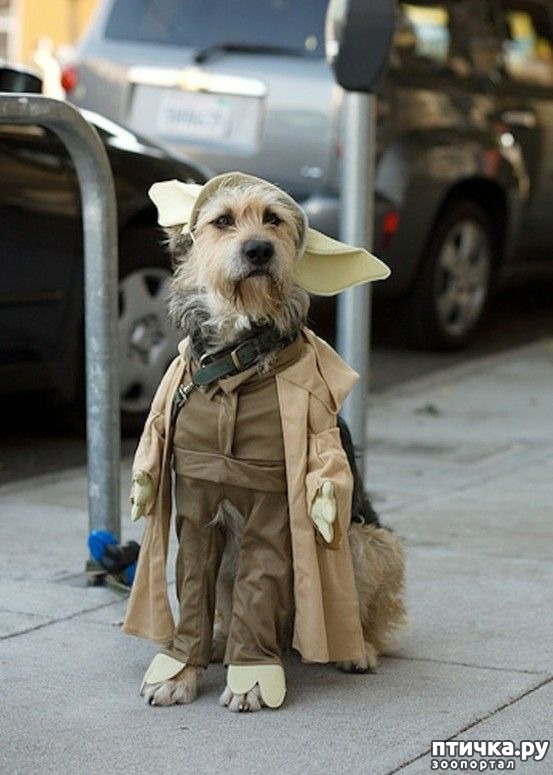 ���� 4: �����, ����� ��������. ������ ����������.