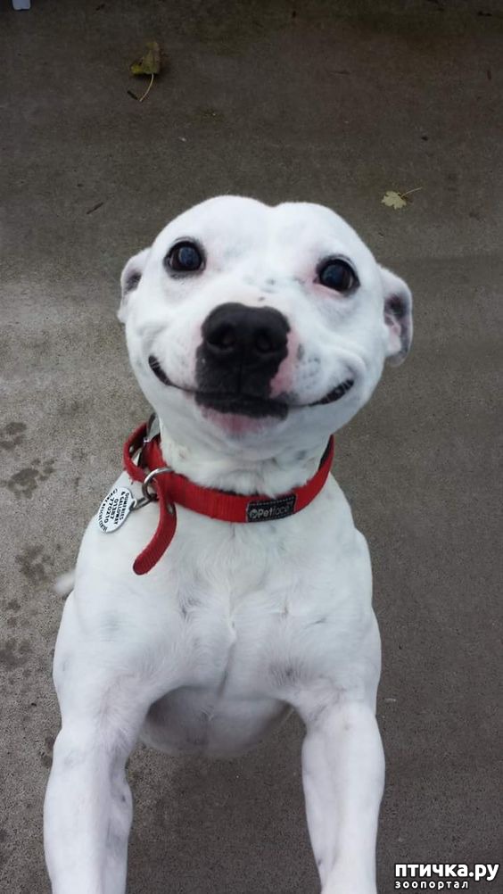 ���� 5: �����, ����� ��������. ������ ����������.