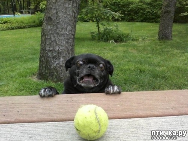 ���� 6: �����, ����� ��������. ������ ����������.