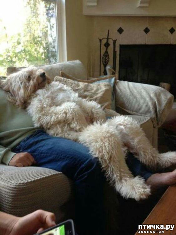 ���� 9: �����, ����� ��������. ������ ����������.