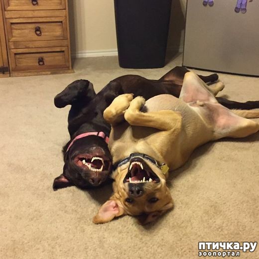 ���� 10: �����, ����� ��������. ������ ����������.