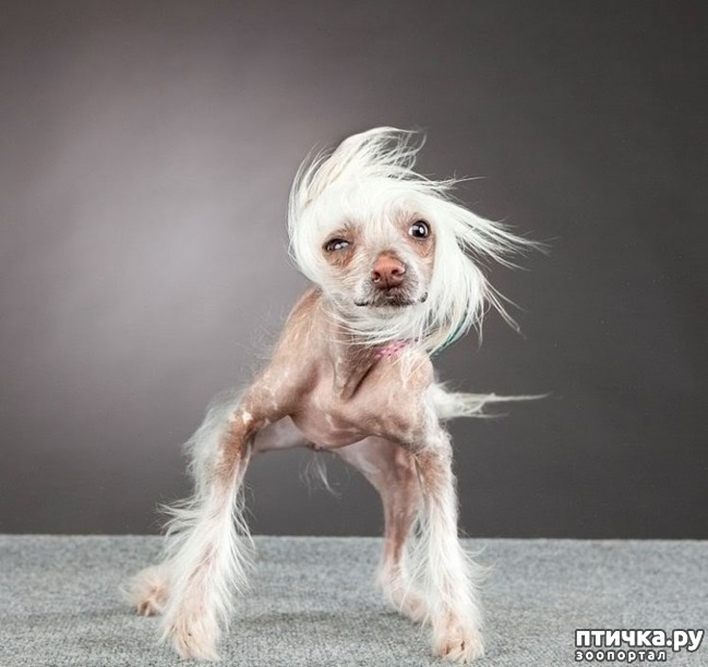 ���� 12: �����, ����� ��������. ������ ����������.