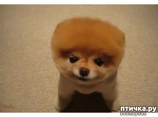 ���� 13: �����, ����� ��������. ������ ����������.