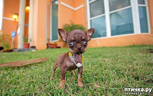 ���� 14: �����, ����� ��������. ������ ����������.