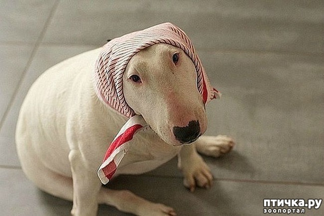 ���� 15: �����, ����� ��������. ������ ����������.