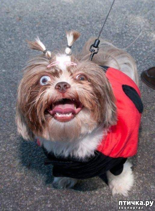 ���� 16: �����, ����� ��������. ������ ����������.