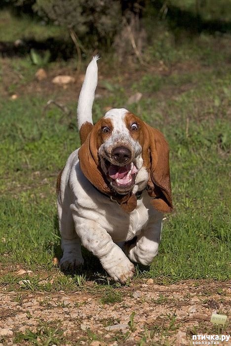 ���� 18: �����, ����� ��������. ������ ����������.