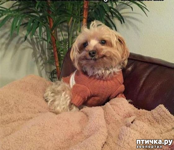 ���� 19: �����, ����� ��������. ������ ����������.