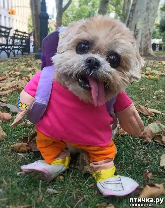 ���� 21: �����, ����� ��������. ������ ����������.