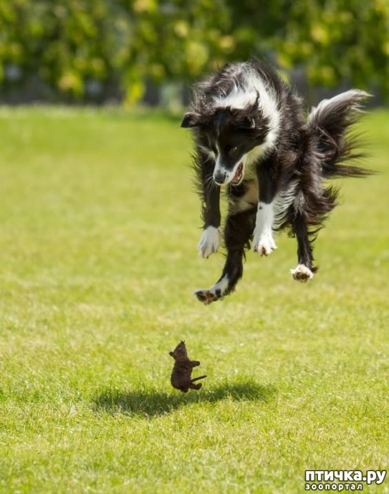 ���� 22: �����, ����� ��������. ������ ����������.