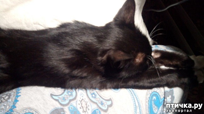 ���� 2: � ������� ����� ��������