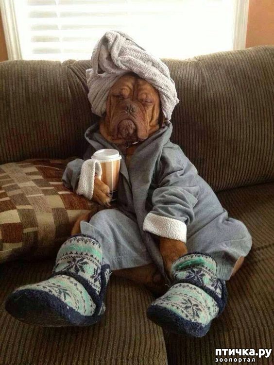 ���� 23: �����, ����� ��������. ������ ����������.