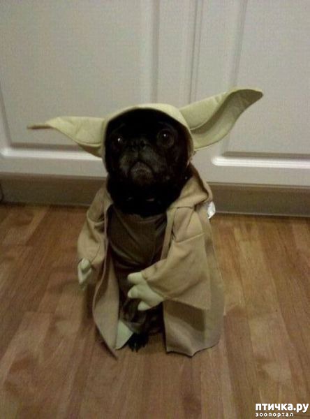 ���� 25: �����, ����� ��������. ������ ����������.