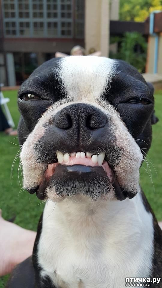 ���� 26: �����, ����� ��������. ������ ����������.