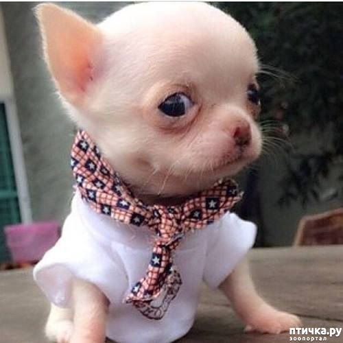 ���� 27: �����, ����� ��������. ������ ����������.