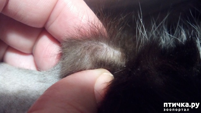 ���� 4: � ������� ����� ��������